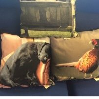 Giftware - cushions